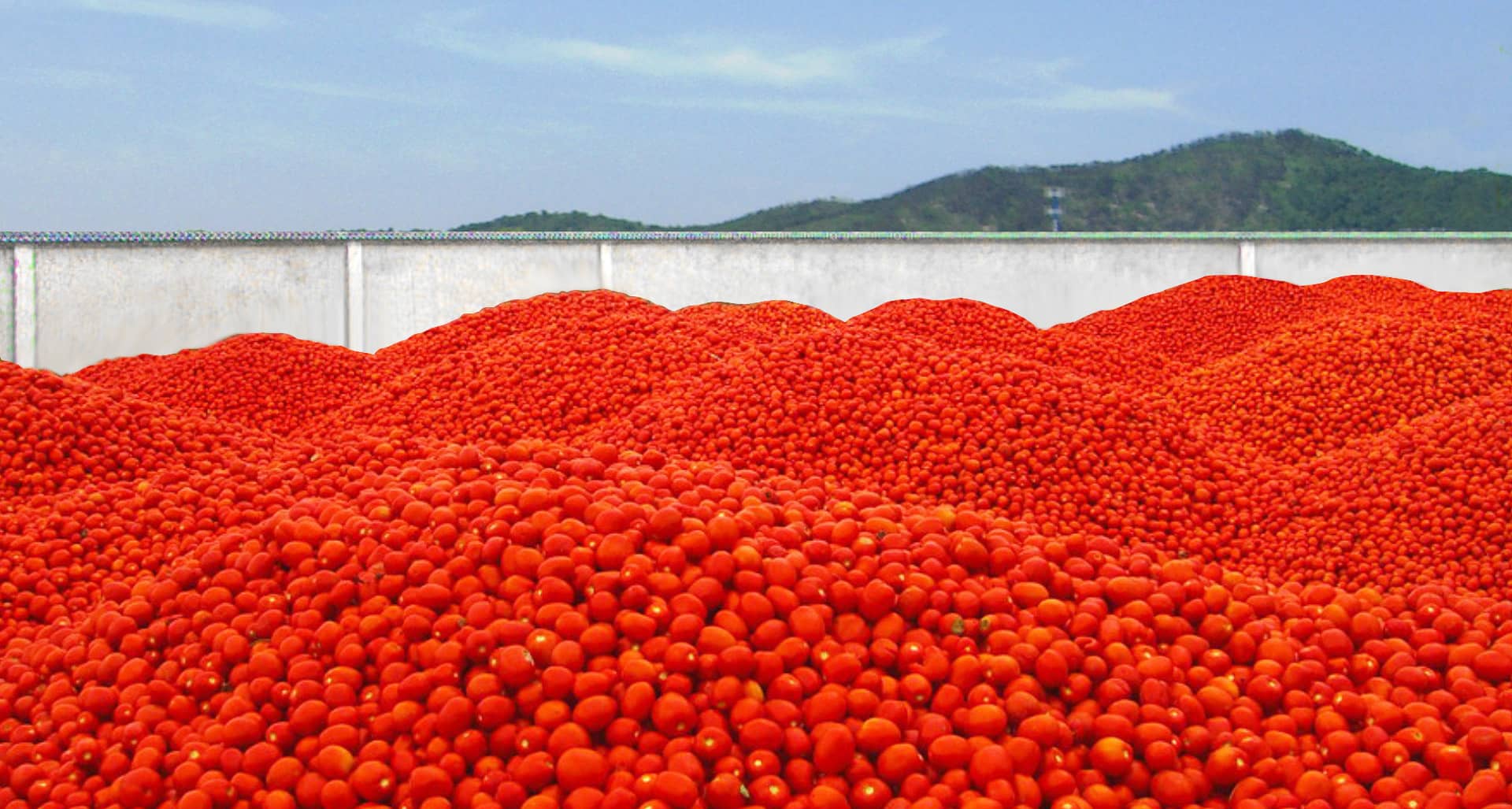 নিংবো জুনিউফু ফুড কোং, লিমিটেড