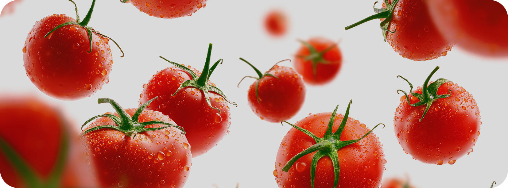 নিংবো জুনিউফু ফুড কোং, লিমিটেড